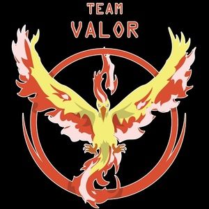 Pokémon go team valor tshirt
